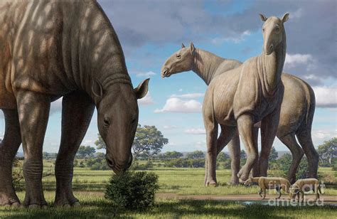 Paraceratherium Prehistoric Mammal Photograph By Mauricio Antonscience