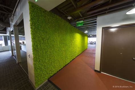 Cool Moss Walls Are The Hottest Trend In Green Living Good Earth Plants