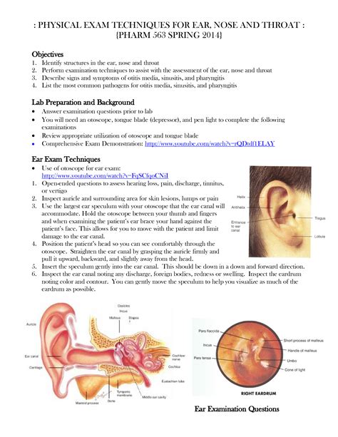 Solution Physical Exam Techniques For Ear Nose And Throat Studypool
