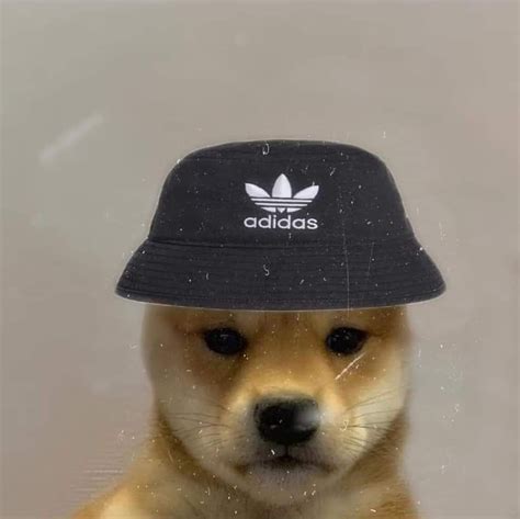 A Dog With A Hat On Its Head