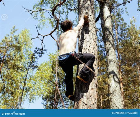 Young Man Climbing On Tree With Rope Stock Image Image Of Branch