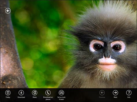 Bing Wallpapers For Windows 8