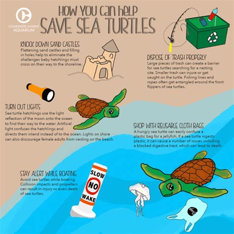Help Sea Turtles Infographic X Madeira Beach Fl