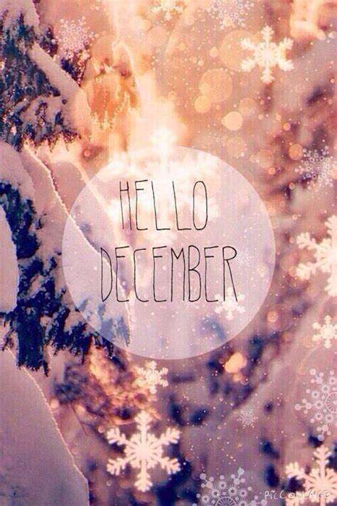 Hello December Its The Last Month To Get It Right Hello December