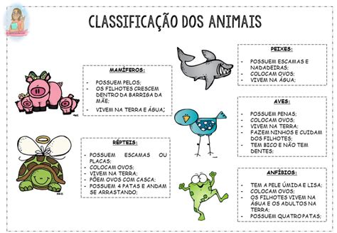 Classifica O Dos Animais Classifica O Dos Animais Atividades Sobre Animais Atividades Animais