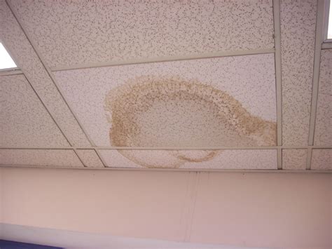 Always call the landlord right away if you have a water stain on the ceiling in your apartment. AMI Environmental Guide to Mold and Moisture Problems in ...