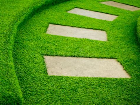 Artificial Green Grass Walk Way With Concrete Plate Stock Image Image