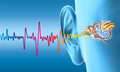 Anatomy Of The Ear And How The Hearing System Works Odyo Santé Auditive