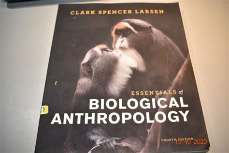 Essentials Of Biological Anthropology By Clark Spencer Larsen 2018