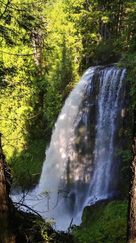 One Of The Most Incredible Hidden Waterfalls In Oregon Rhiking