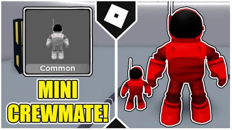 New Code For The Mini Crewmate Pet In Amongst Us Roblox Youtube