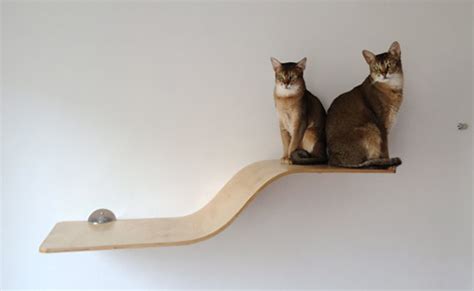 Gorgeous Bent Wood Cat Furniture From Holin Design Hauspanther