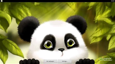 Panda Chub Live Wallpaper Free Video Demo Youtube