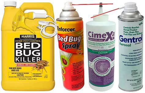Best Pesticide For Bed Bugs