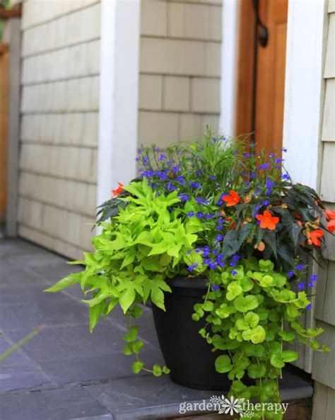 12 Beautiful Container Gardening Ideas For Shade An Oregon Cottage