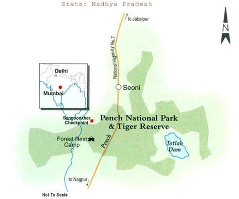 Accommodation Location How To Reach Pench National Park