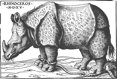 Bookmarked bookmark solve this jigsaw puzzle later. Voici 500 ans, le « rhinocéros de Dürer » posait le pied ...