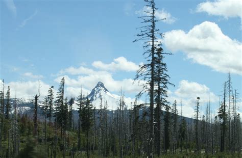 Mt Jefferson Oregons Second Highest Peak Natural Landmarks