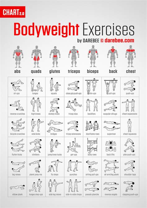 Bodyweight Exercises Muscle Map Bodyweight Workout Body Weight Hiit Hiit Workout