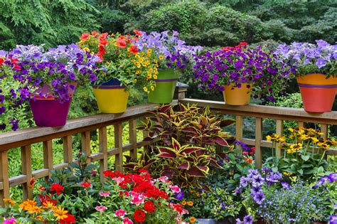 Colorful Pots On Our Deck Shade Garden Garden Design Porch Flowers