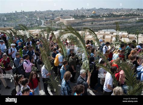 Palm Sunday Catholic Procession Mount Of Olives Jerusalem Israel