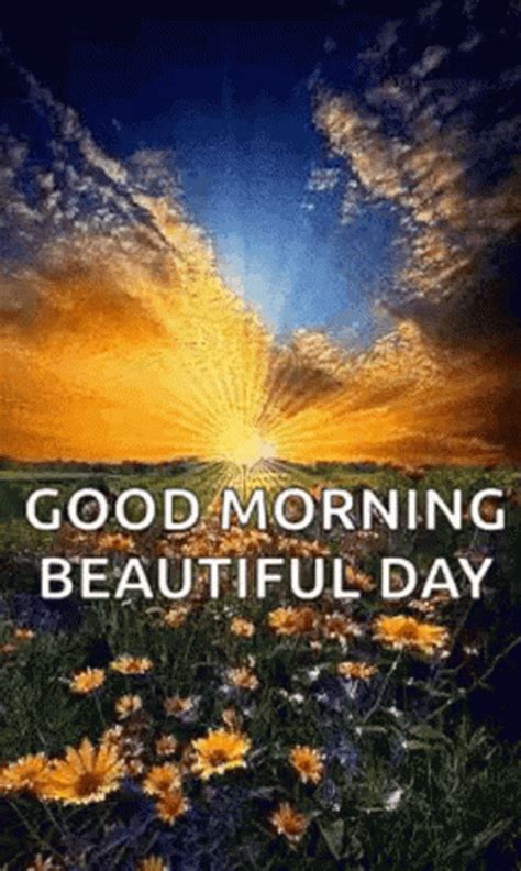 Good Morning Beautiful Day Pictures Photos And Images For Facebook