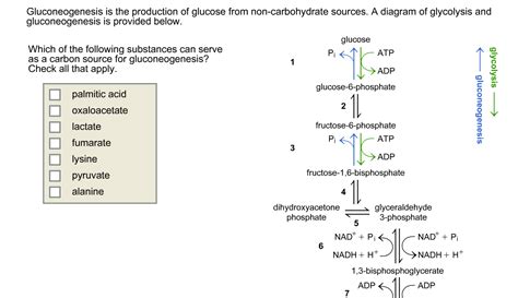 Glycogen Phosphorylase Catalyzes The Removal Of Gl