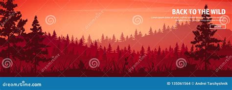 Mountains And Forest Header Wild Nature Landscape Travel And