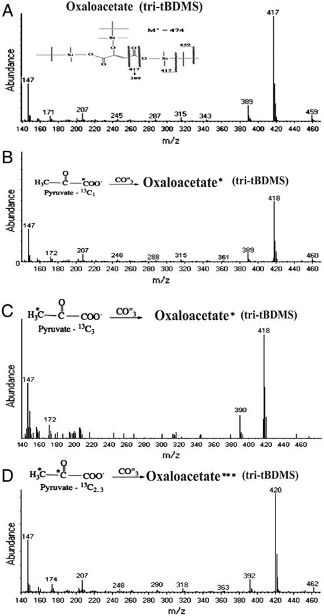 Oxaloacetate Standard After Tbdms Derivatization And Oxaloacetate Download Scientific Diagram
