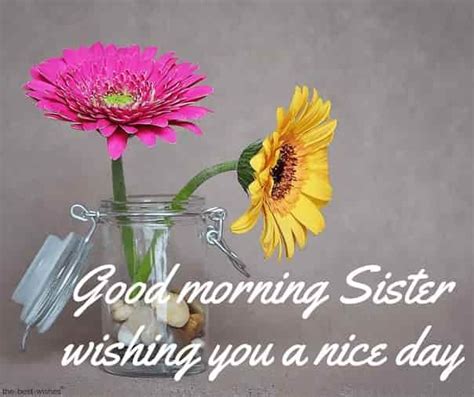120 Lovely Good Morning Wishes And Greetings For Sister In 2020 Good