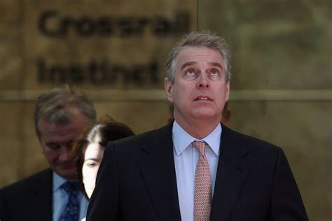 prince andrew files constitutional challenge to epstein accuser s lawsuit