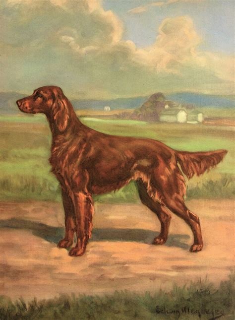 Vintage Irish Setter Print Wall Art Decor Edwin Megargee Irish Setter