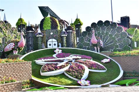Dubai Miracle Garden opens for Season 11 with never-before-seen floral