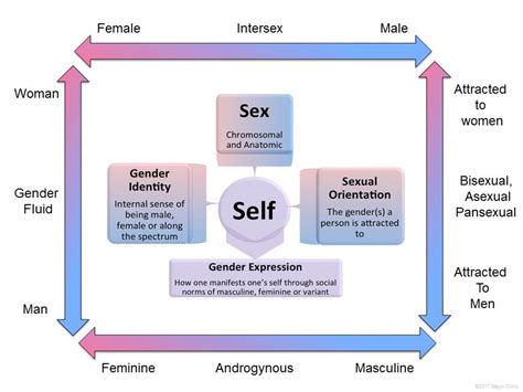 Transgender Facts Mayo Clinic