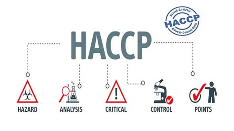 Apa Itu Haccp Hazard Analysis And Critical Control Point Youtube