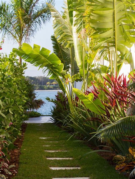 Tropical Landscaping Plants Hawaii Gardening Ideas