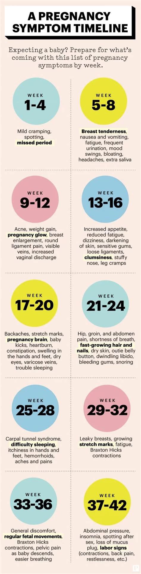 Your Pregnancy Symptoms Week By Week Pregnancy Timeline Pregnancy