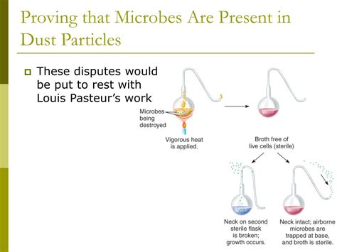 Ppt Microbiology Powerpoint Presentation Free Download Id1248145