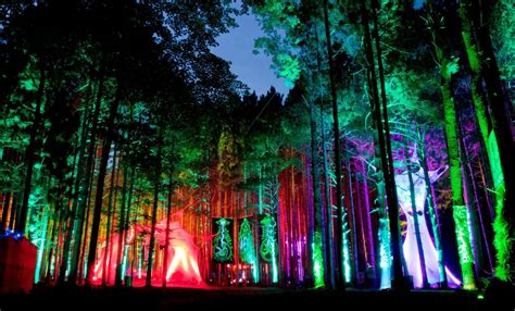 Electric Forest Announces Lineup Additions Coordinated Stages