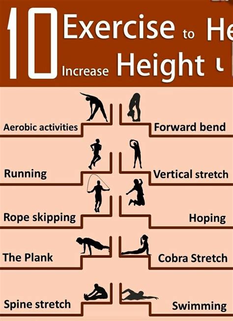 Increase Height Workout Increase Height Increase Height Exercise How To Grow Taller