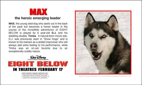 The story is americanised, so the team stationed in the sotuh pole is now american, with a pack of eight huskies (both alaskan malamutes and the film is somewhat disneyfied: film eight below