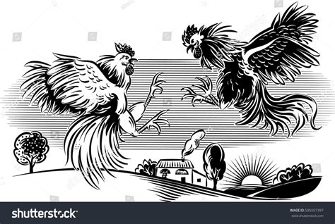 Two Cocks Facing Each Other Fight Stock Vector Royalty Free 595597397 Shutterstock