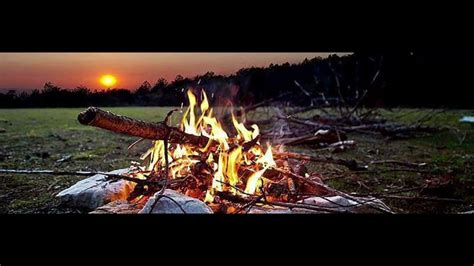 Campfire And Forest Sound Relaxing Sounds Deep Sleep Youtube