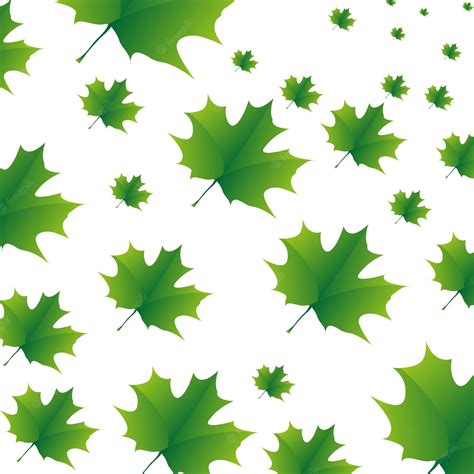 Premium Vector The Green Maple Leaves Pattern On White Background The