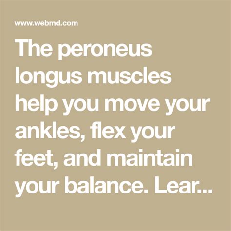 Best Exercises For The Peroneus Longus Peroneus Longus Sprained