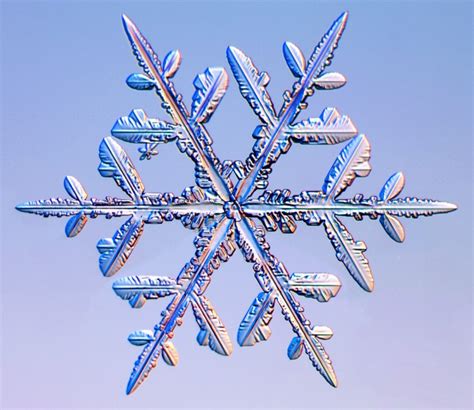 Snowflakes Photography Of Real Snow Crystals By Kenneth G