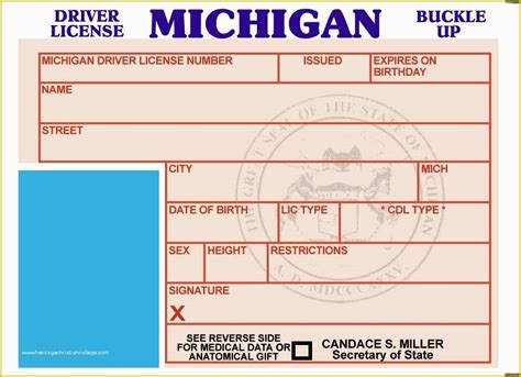 Michigan Drivers License Template Free Recgo