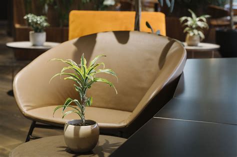 The Importance Of Biophilic Design In The Workplace Uncommon
