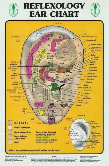Ear Reflexology Reflexology