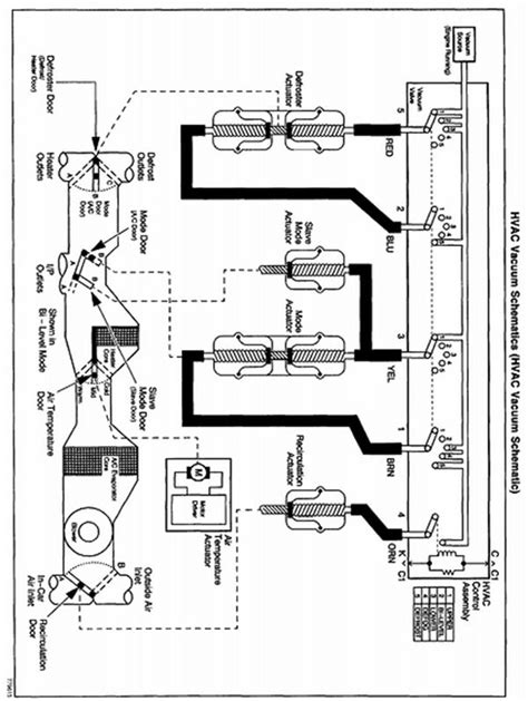 2002 Chevy S10 22 Vacuum Line Diagram
